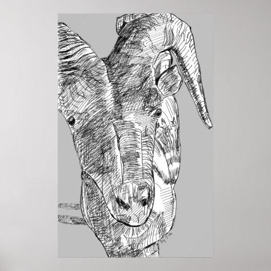 Mountain Goat Poster (Voorkant)