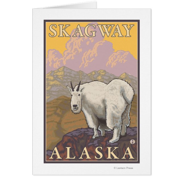 Mountain Goat - Skagway, Alaska (Voorkant)