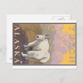 Mountain Goat - Yukon, Alaska Briefkaart (Voorkant / Achterkant)