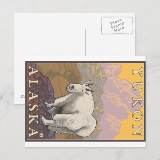 Mountain Goat - Yukon, Alaska Briefkaart (Voorkant / Achterkant)