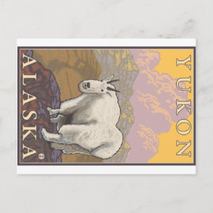 Mountain Goat - Yukon, Alaska Briefkaart