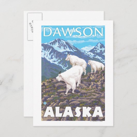 Mountain Goats Scene - Dawson, Alaska Briefkaart (Voorkant / Achterkant)