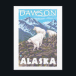 Mountain Goats Scene - Dawson, Alaska Briefkaart<br><div class="desc">Mountain Goats Scene - Dawson,  Alaska - Vintage Travel Poster werd in 2007 opgericht. Dit afbeelding toont scènes van Dawson,  AK.</div>