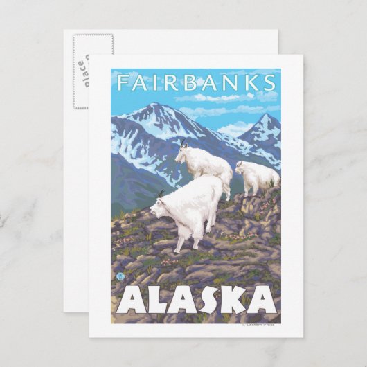 Mountain Goats Scene - Fairbanks, Alaska Briefkaart (Voorkant / Achterkant)