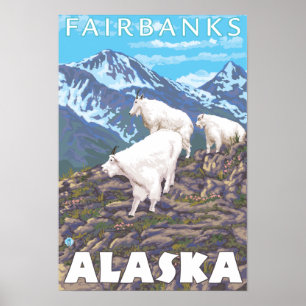 Mountain Goats Scene - Fairbanks, Alaska Poster