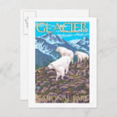 Mountain Goats Scene - Glacier National Park Briefkaart (Voorkant / Achterkant)