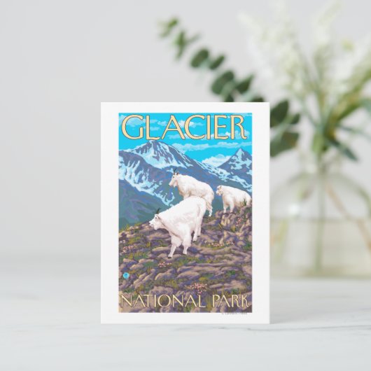 Mountain Goats Scene - Glacier National Park Briefkaart (Staand voorkant)