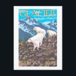 Mountain Goats Scene - Glacier National Park Briefkaart<br><div class="desc">Mountain Goats Scene - Glacier National Park,  MT - Vintage Travel Poster werd in 2007 opgericht. Dit afbeelding toont scènes van het Glacier National Park,  MT.</div>