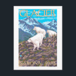 Mountain Goats Scene - Glacier National Park Briefkaart<br><div class="desc">Mountain Goats Scene - Glacier National Park,  MT - Vintage Travel Poster werd in 2007 opgericht. Dit afbeelding toont scènes van het Glacier National Park,  MT.</div>