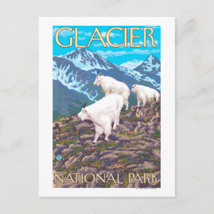 Mountain Goats Scene - Glacier National Park Briefkaart