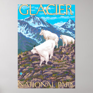Mountain Goats Scene - Glacier National Park Poster