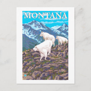 Mountain Goats Scene - Montana Briefkaart