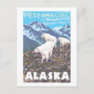 Mountain Goats Scene - Petersburg, Alaska Briefkaart