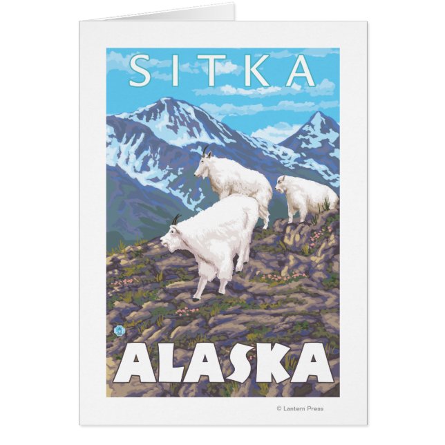 Mountain Goats Scene - Sitka, Alaska (Voorkant)