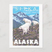 Mountain Goats Scene - Sitka, Alaska Briefkaart (Voorkant)