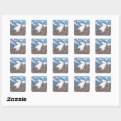 Mountain Goats Scene - Sitka, Alaska Vierkante Sticker (Vel)