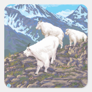 Mountain Goats Scene - Sitka, Alaska Vierkante Sticker
