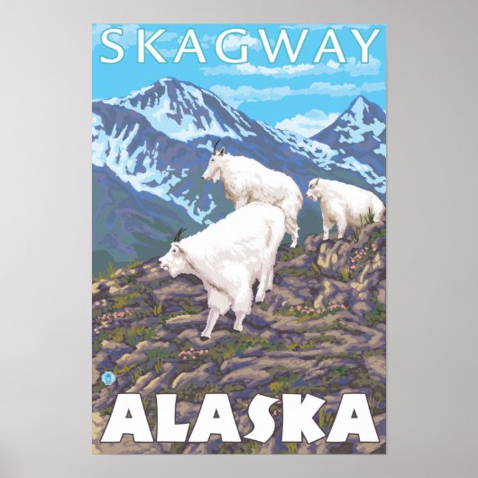 Mountain Goats Scene - Skagway, Alaska Poster (Voorkant)