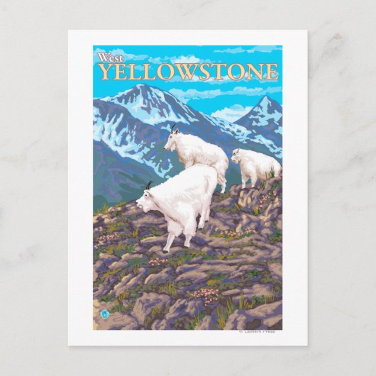 Mountain Goats Scene - West Yellowstone, MT Briefkaart (Voorkant)