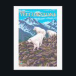 Mountain Goats Scene - West Yellowstone, MT Briefkaart<br><div class="desc">Mountain Goats Scene - West Yellowstone,  MT - Vintage Travel Poster werd in 2007 opgericht. Dit afbeelding schildert scènes uit West Yellowstone,  MT.</div>