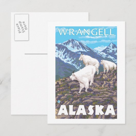 Mountain Goats Scene - Wrangell, Alaska Briefkaart (Voorkant / Achterkant)