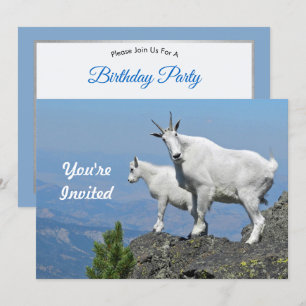 Mountain Goats White Wildlife Foto Birthday Kaart