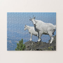 Mountain Goats White Wildlife Foto Legpuzzel
