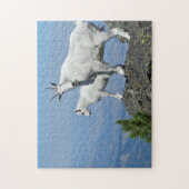 Mountain Goats White Wildlife Foto Legpuzzel (Verticaal)