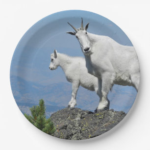 Mountain Goats White Wildlife Foto Papieren Bordje
