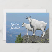 Mountain Goats White Wildlife Foto Verjaardag Kaart (Voorkant)