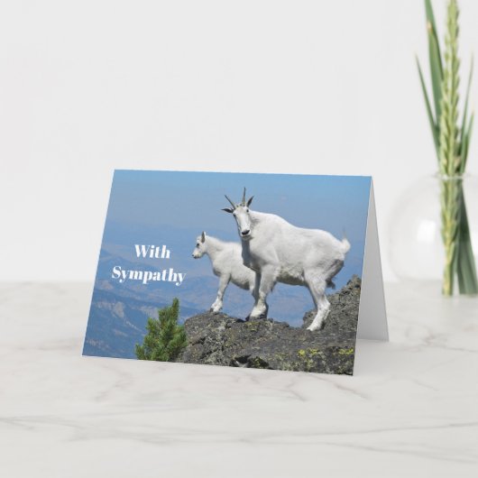 Mountain Goats White Willife Foto Sympathie Kaart (Voorkant)