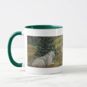 Mountain Goats Wildlife Art Mok (Links)