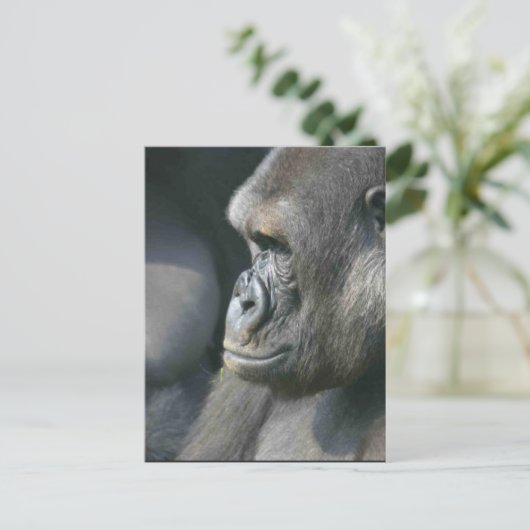 Mountain Gorilla Briefkaart (Staand voorkant)