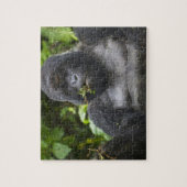 Mountain Gorilla en Silverback Legpuzzel (Verticaal)