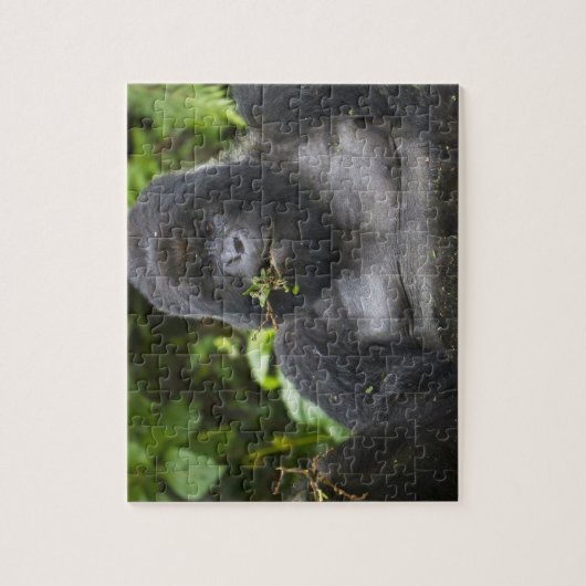 Mountain Gorilla en Silverback Legpuzzel (Verticaal)