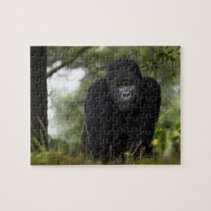 Mountain Gorilla en Silverback Legpuzzel
