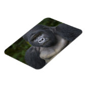 Mountain Gorilla en Silverback Magneet (Linkerzijde)
