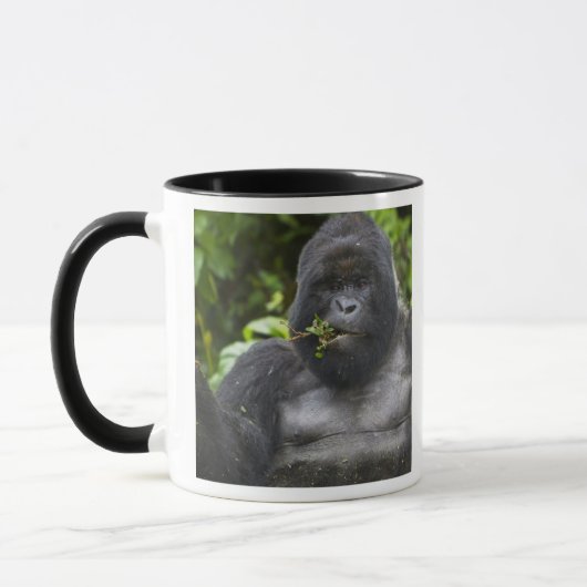 Mountain Gorilla en Silverback Mok (Links)