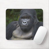 Mountain Gorilla en Silverback Muismat (Met muis)