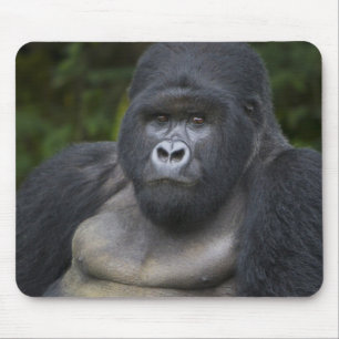Mountain Gorilla en Silverback Muismat