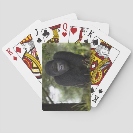 Mountain Gorilla en Silverback Pokerkaarten (Achterkant)