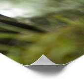 Mountain Gorilla en Silverback Poster (Hoek)