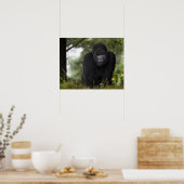 Mountain Gorilla en Silverback Poster (Keuken)