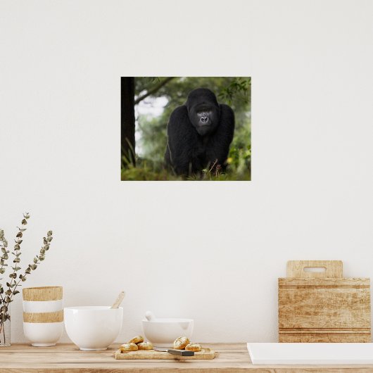 Mountain Gorilla en Silverback Poster (Keuken)
