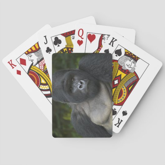 Mountain Gorilla en Silverback Speelkaarten (Achterkant)