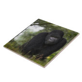 Mountain Gorilla en Silverback Tegeltje (Zijkant)