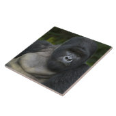 Mountain Gorilla en Silverback Tegeltje (Zijkant)