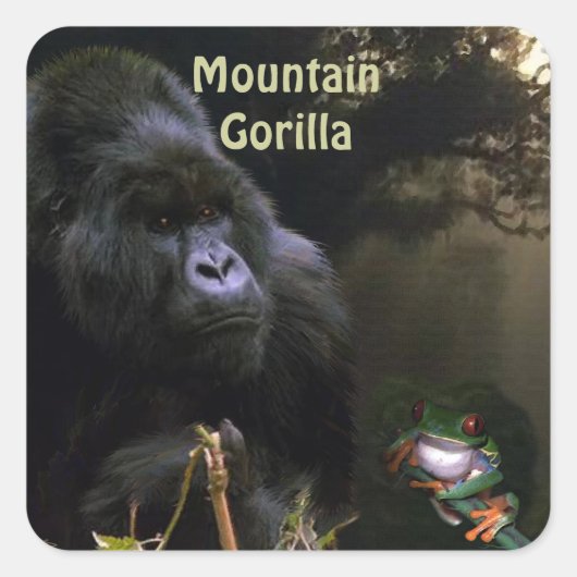 Mountain Gorilla & Frog African Wildlife Sticker (Voorkant)