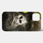 Mountain Gorilla, Gorilla beringei beringei, Case-Mate iPhone Case (Achterkant (horizontaal))