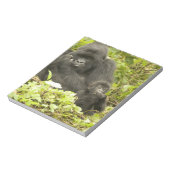 Mountain Gorilla, Gorilla beringei (voorheen G). Notitieblok (Linkerzijde)
